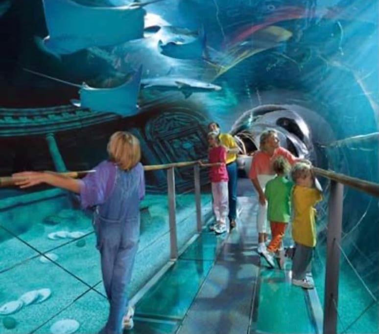 Disney Cocooning A 5 Minutes Du Parc 쿠브레 외부 사진